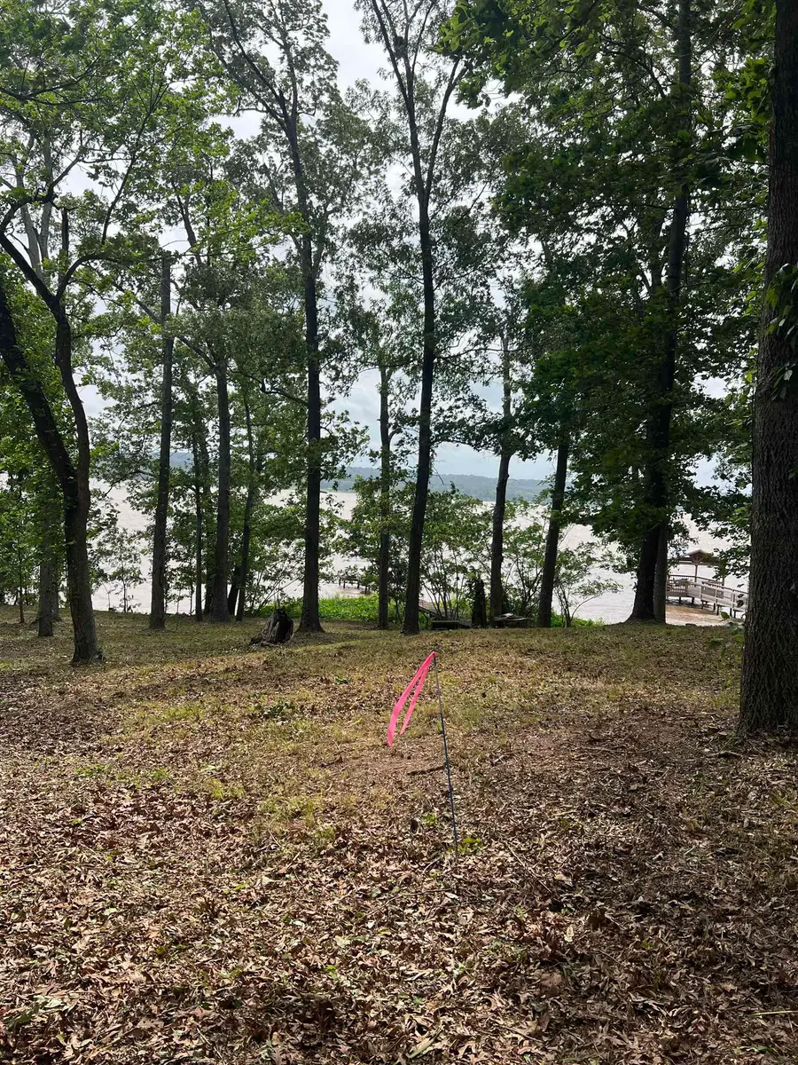 1159 E Farm to Market 3288, Jacksonville, TX 75766 - #3