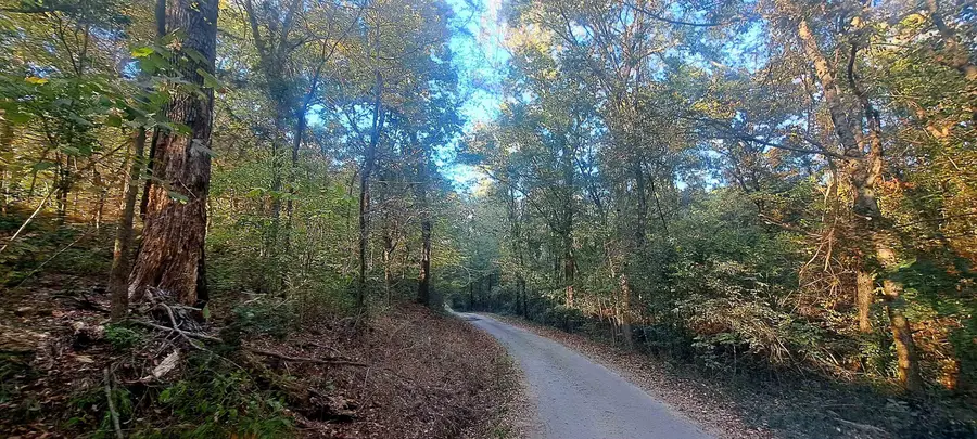 10774 County Road 494, Tyler, TX 75706 - #2