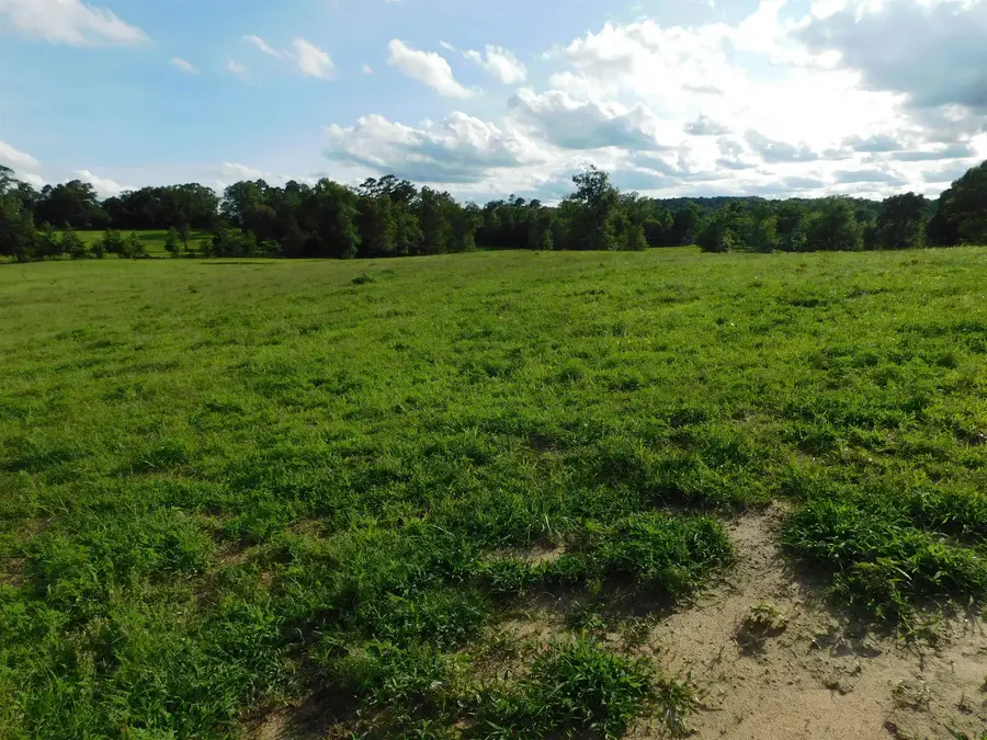 TBD GROUNDHOG RD, Big Sandy, TX 75647 - #3