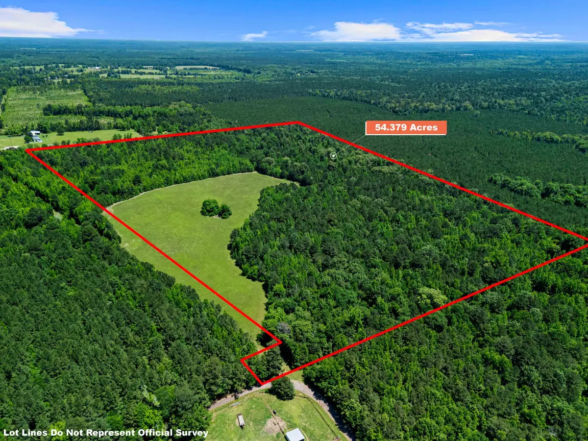 54.379 Ac TBD CR 3300, Jefferson, TX 75657 - #1