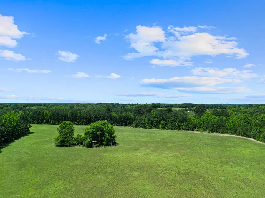 54.379 Ac TBD CR 3300, Jefferson, TX 75657 - #2