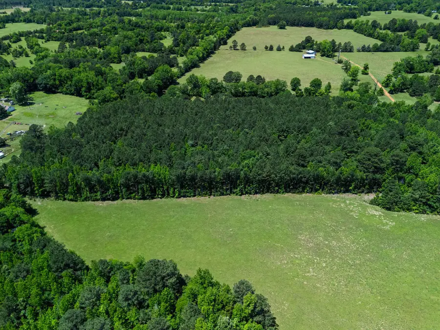 54.379 Ac TBD CR 3300, Jefferson, TX 75657 - #3