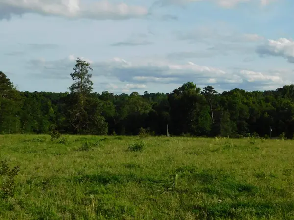 TBD GROUNDHOG RD, Big Sandy, TX 75647