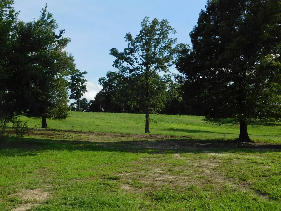 TBD GROUNDHOG RD, Big Sandy, TX 75647 - #3