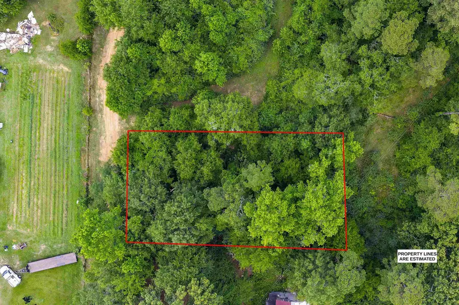 TBD Baretta Rd E/SID, Gladewater, TX 75647 - #2