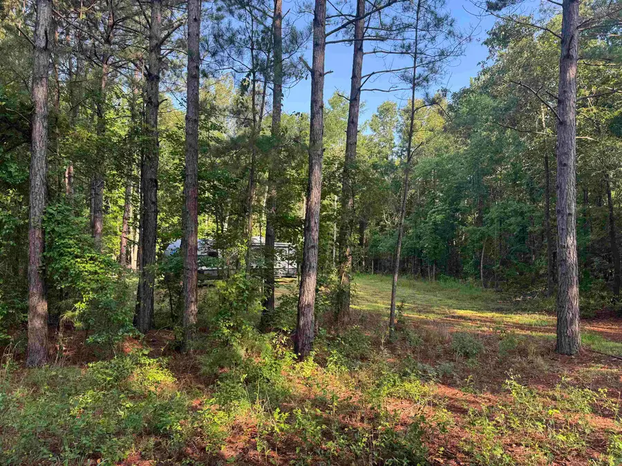 TBD FM 2879, Longview, TX 75605 - #2