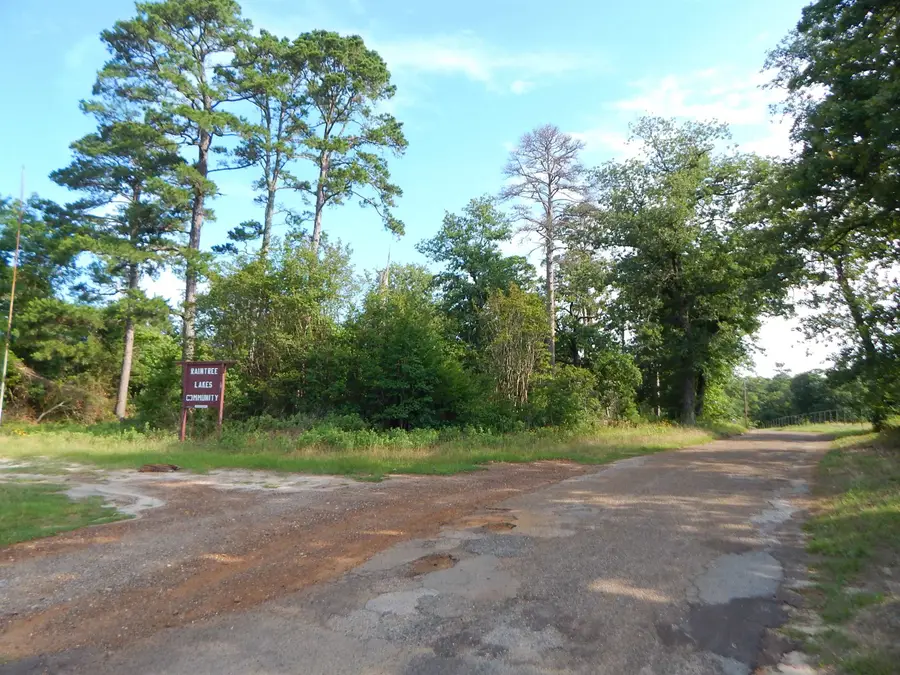 TBD 33 LOTS RAINTREE LAKES, Big Sandy, TX 75755 - #2