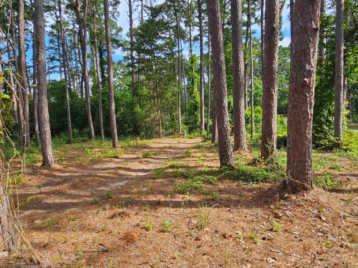 TBD Green Meadow Trail (Lot 141), Holly Lake Ranch, TX 75765 - #1