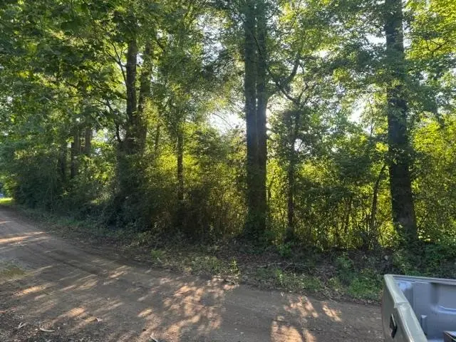 TBD Richardson Road, Joaquin, TX 75954 - #2