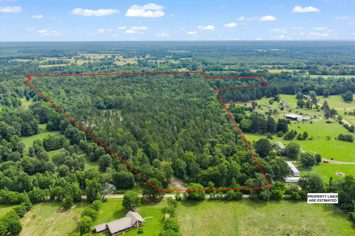TBD Fuzzy Harmon Rd., Jefferson, TX 75657 - #1