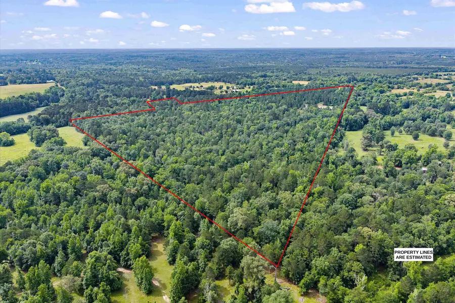 TBD Fuzzy Harmon Rd., Jefferson, TX 75657 - #2