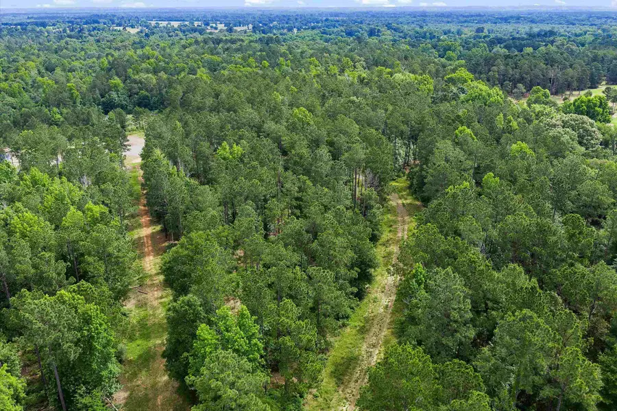 TBD Fuzzy Harmon Rd., Jefferson, TX 75657 - #3