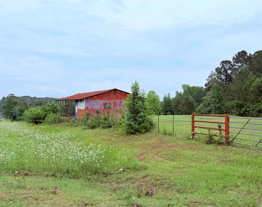 TBD SH 43, Tatum, TX 75691 - #2
