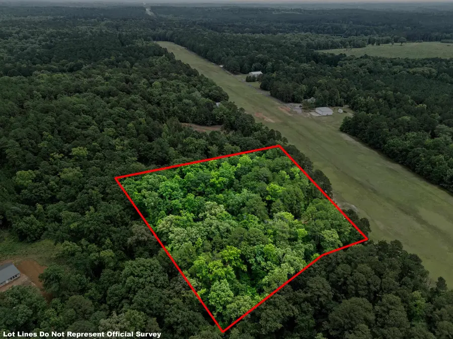 399 CR 1510, Avinger, TX 75630 - #2