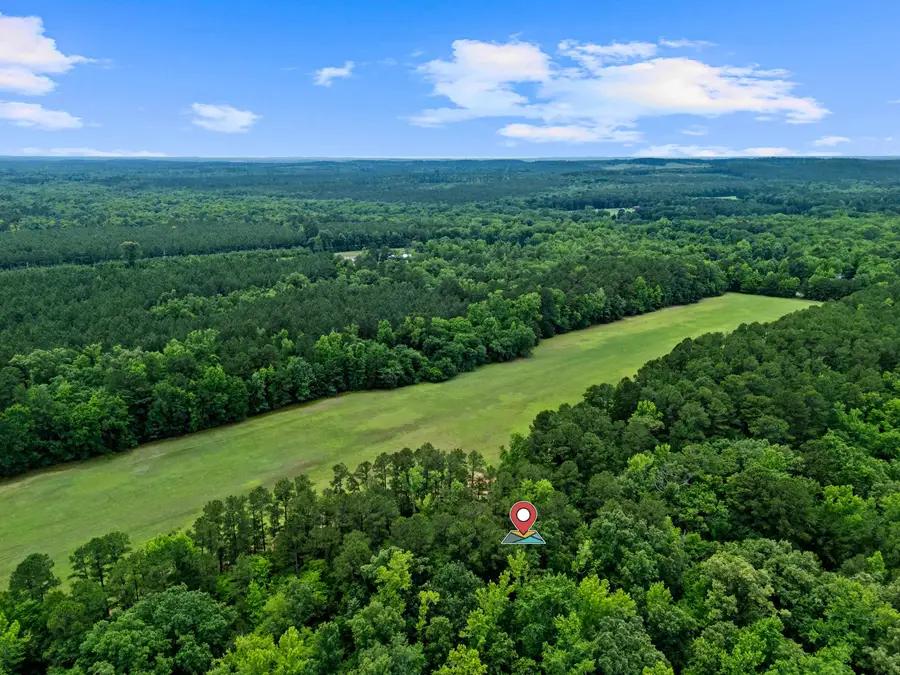 399 CR 1510, Avinger, TX 75630 - #3