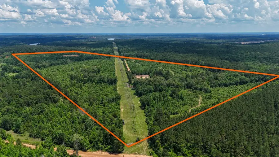 000 Avinger Cutoff Road, Avinger, TX 75753 - #2