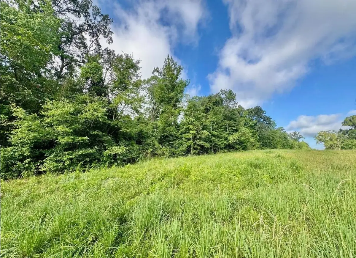 TBD CR 369, Winona, TX 75792 - #1