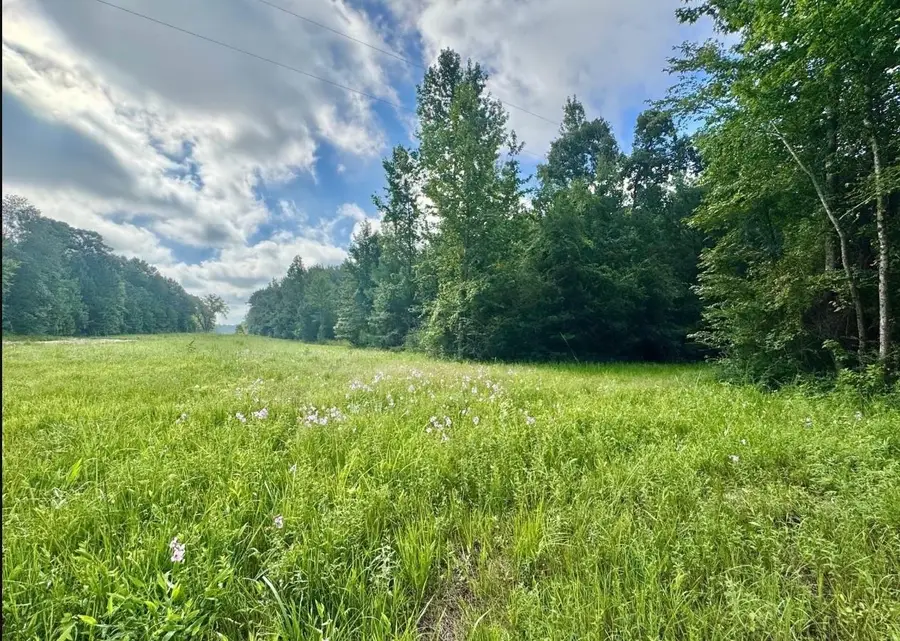TBD CR 369, Winona, TX 75792 - #2