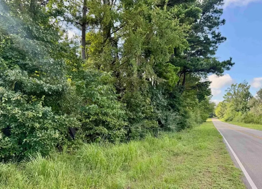 TBD CR 369, Winona, TX 75792 - #3