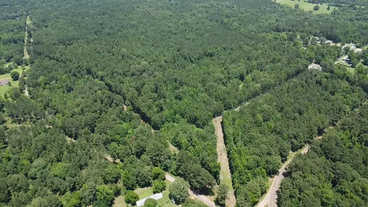 32 Acres FM 248, Jefferson, TX 75657 - #1