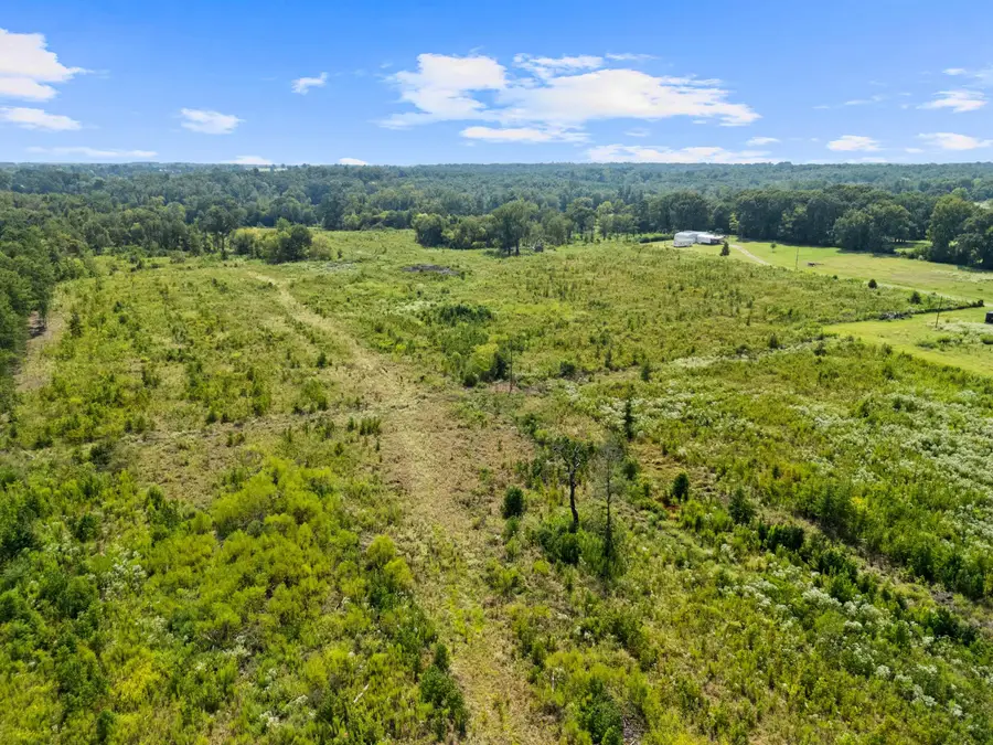TBD CR 1312, Pittsburg, TX 75686 - #3