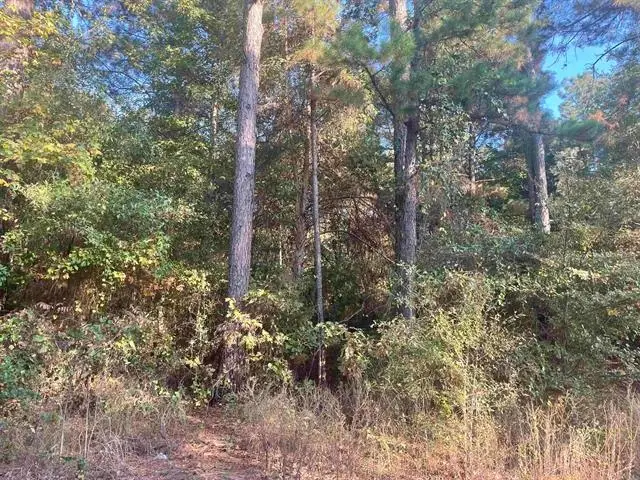 tbd Club Dr and Forestwood Dr., Gilmer, TX 75645 - #1