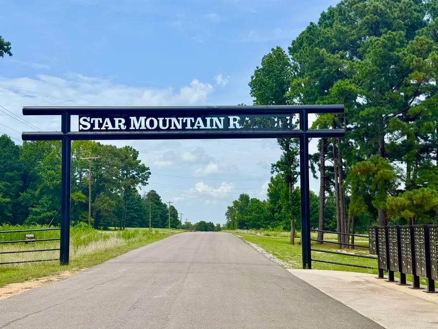 16121 W Valley View Ct, Winona, TX 75792 - #3