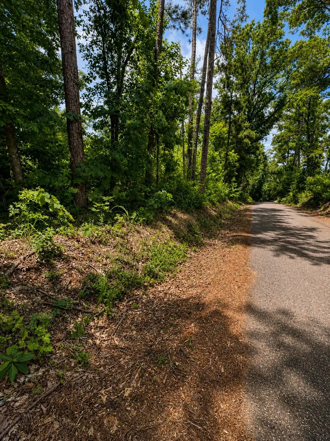 TBD CR 4170, Laneville, TX 75667 - #1