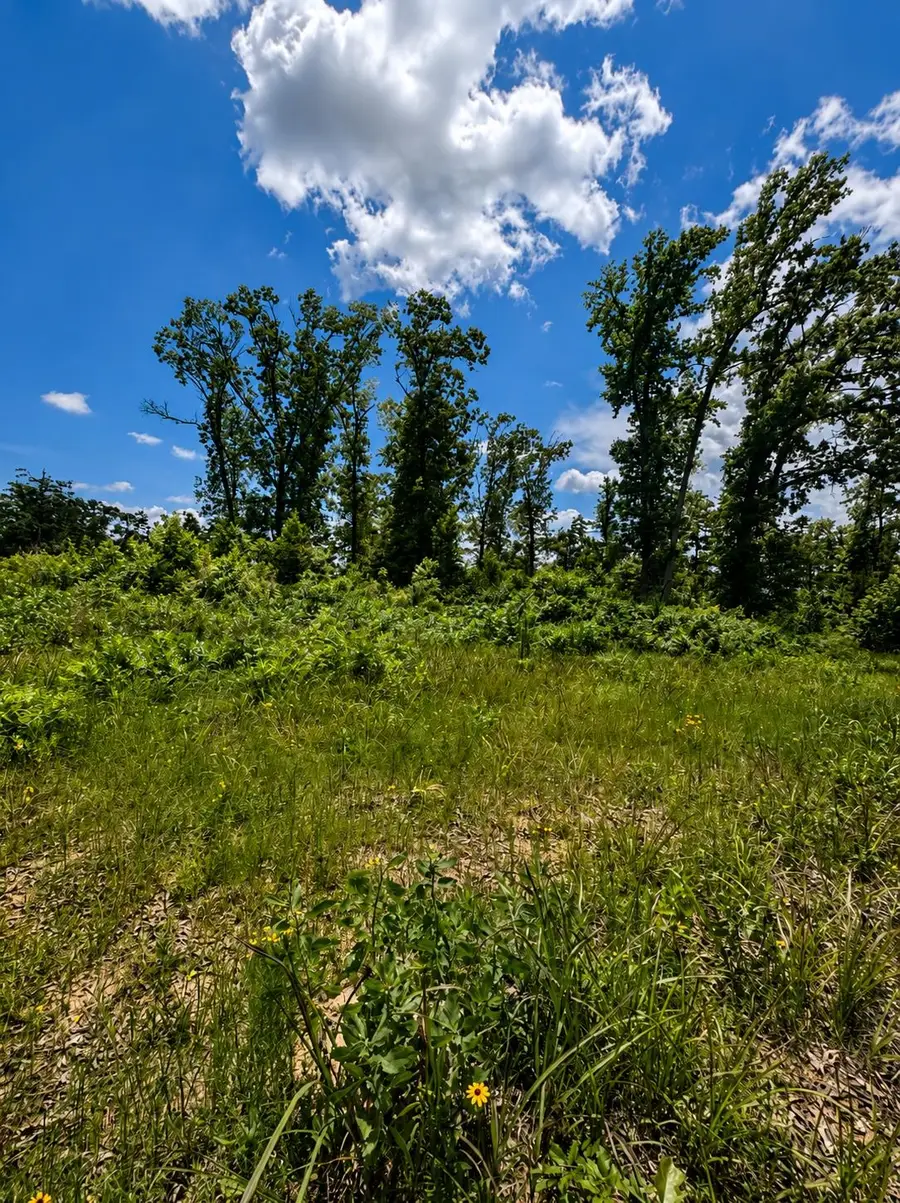TBD CR 4170, Laneville, TX 75667 - #2