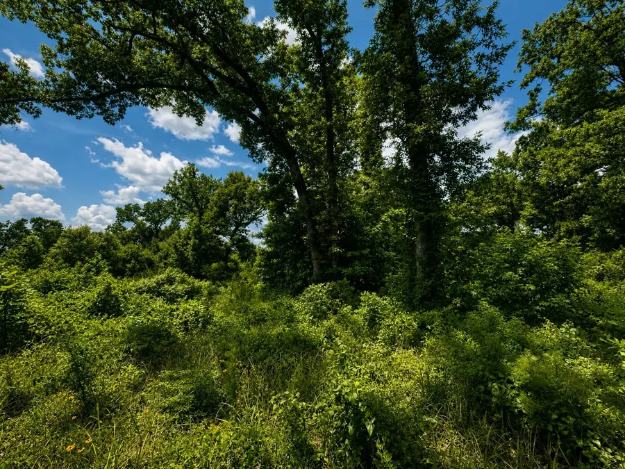 TBD CR 4170, Laneville, TX 75667 - #3