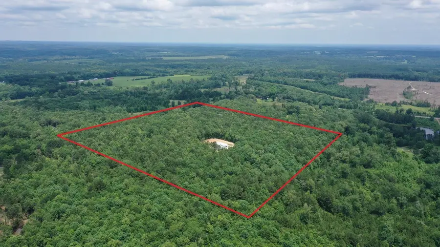 305 County Road 1145, Atlanta, TX 75551 - #3