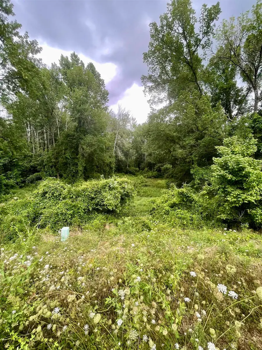 TBD FM 2625, Marshall, TX 75670 - #2