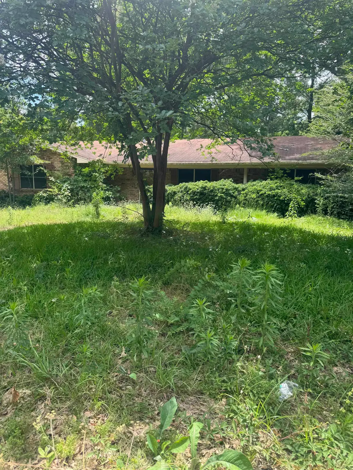 411 N Glencrest, White Oak, TX 75693 - #1