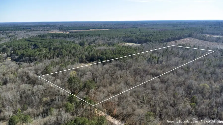 TR5 18.75 Acres County Rd, De Berry, TX 75639 - #2
