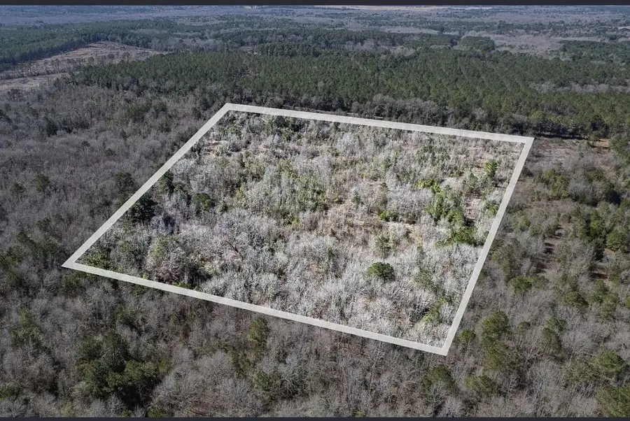 TBD County Road 2752, Naples, TX 75568 - #2