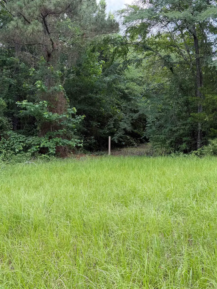 TBD Canaan Church Road, Marshall, TX 75672 - #2