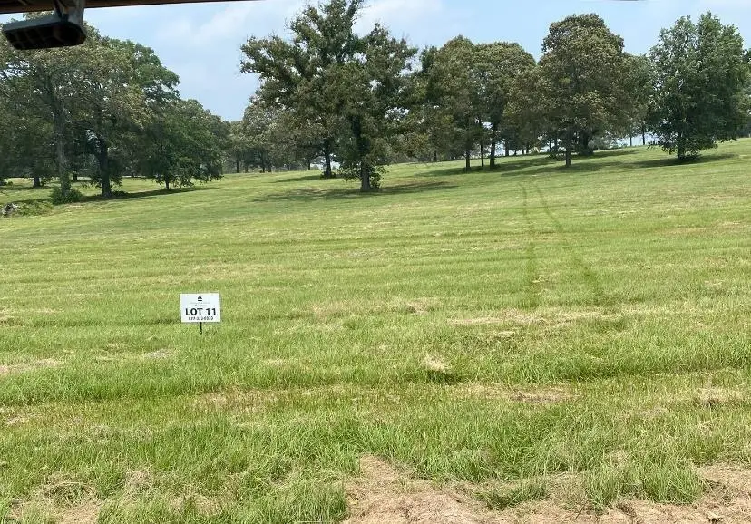Lot 11 TBD Private Road 3398, Big Sandy, TX 75755 - #1