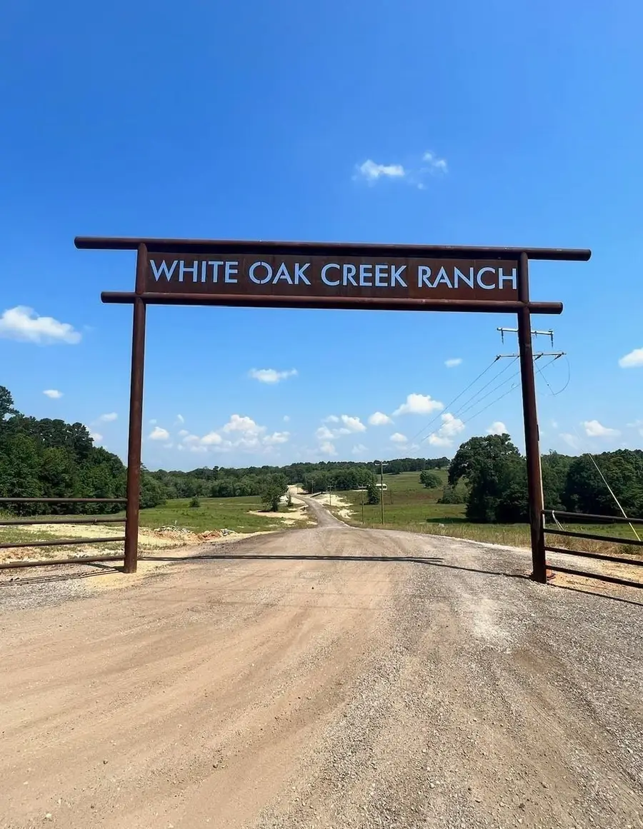 Lot 11 TBD Private Road 3398, Big Sandy, TX 75755 - #2