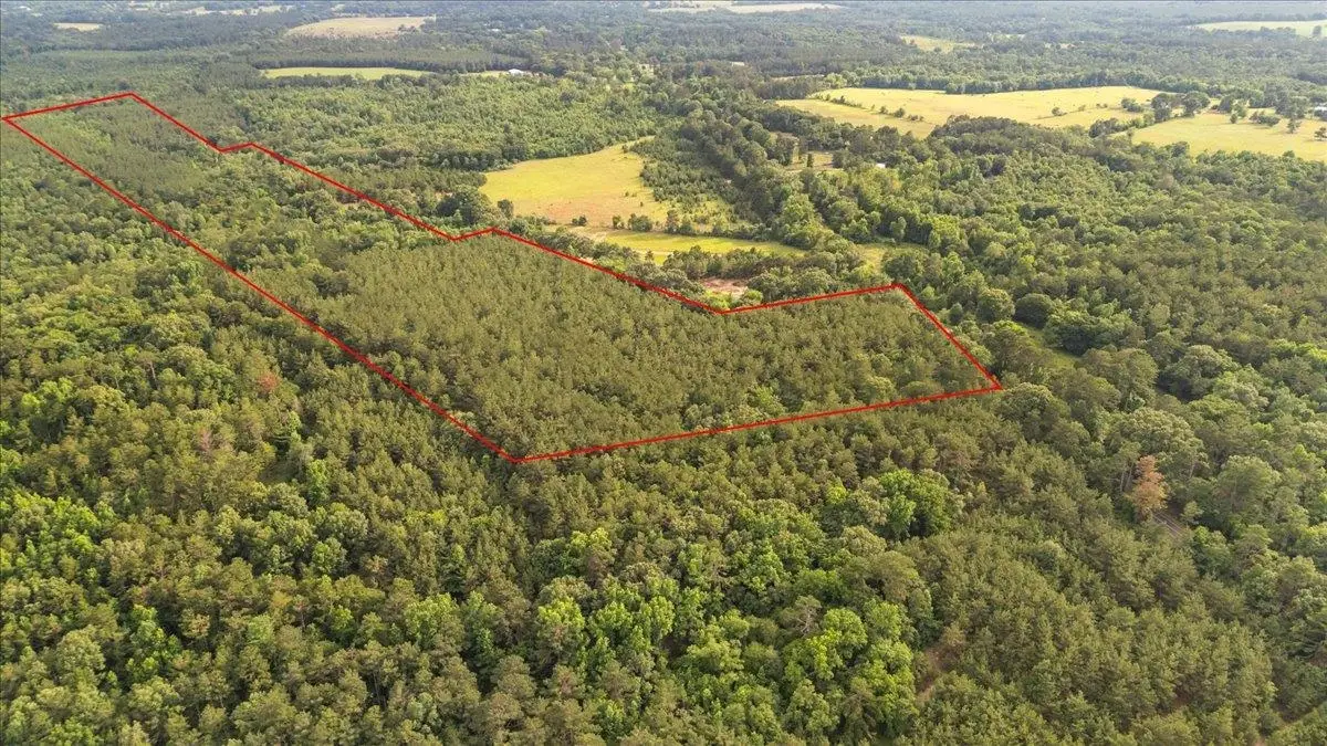 TBD S FM 225, Laneville, TX 75667 - #1