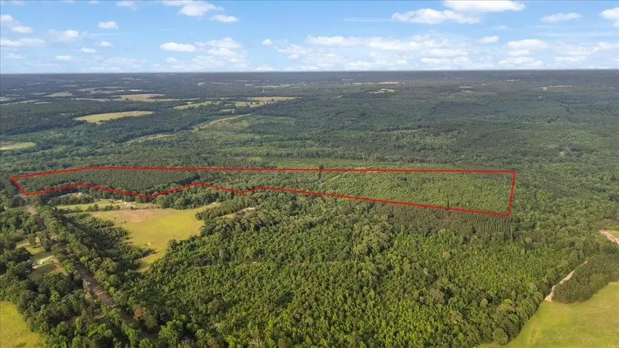 TBD S FM 225, Laneville, TX 75667 - #2