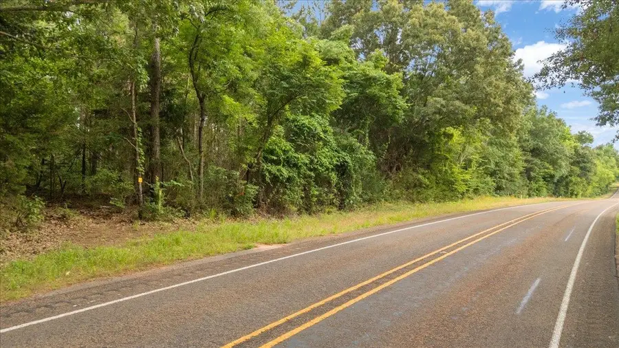 TBD S FM 225, Laneville, TX 75667 - #3