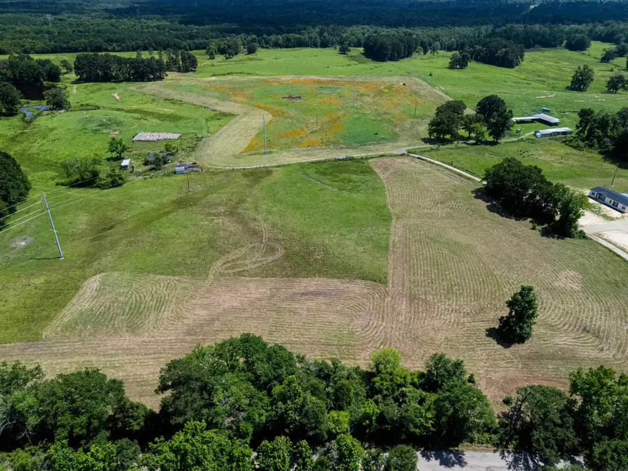 TBD County Rd 266, Beckville, TX 75631 - #3