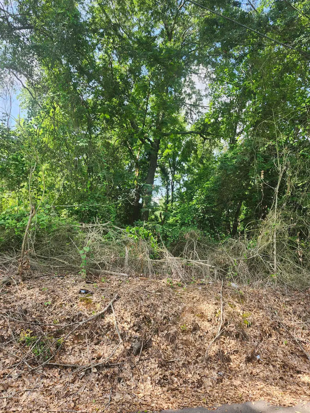 000 Fields St., Marshall, TX 75670 - #1