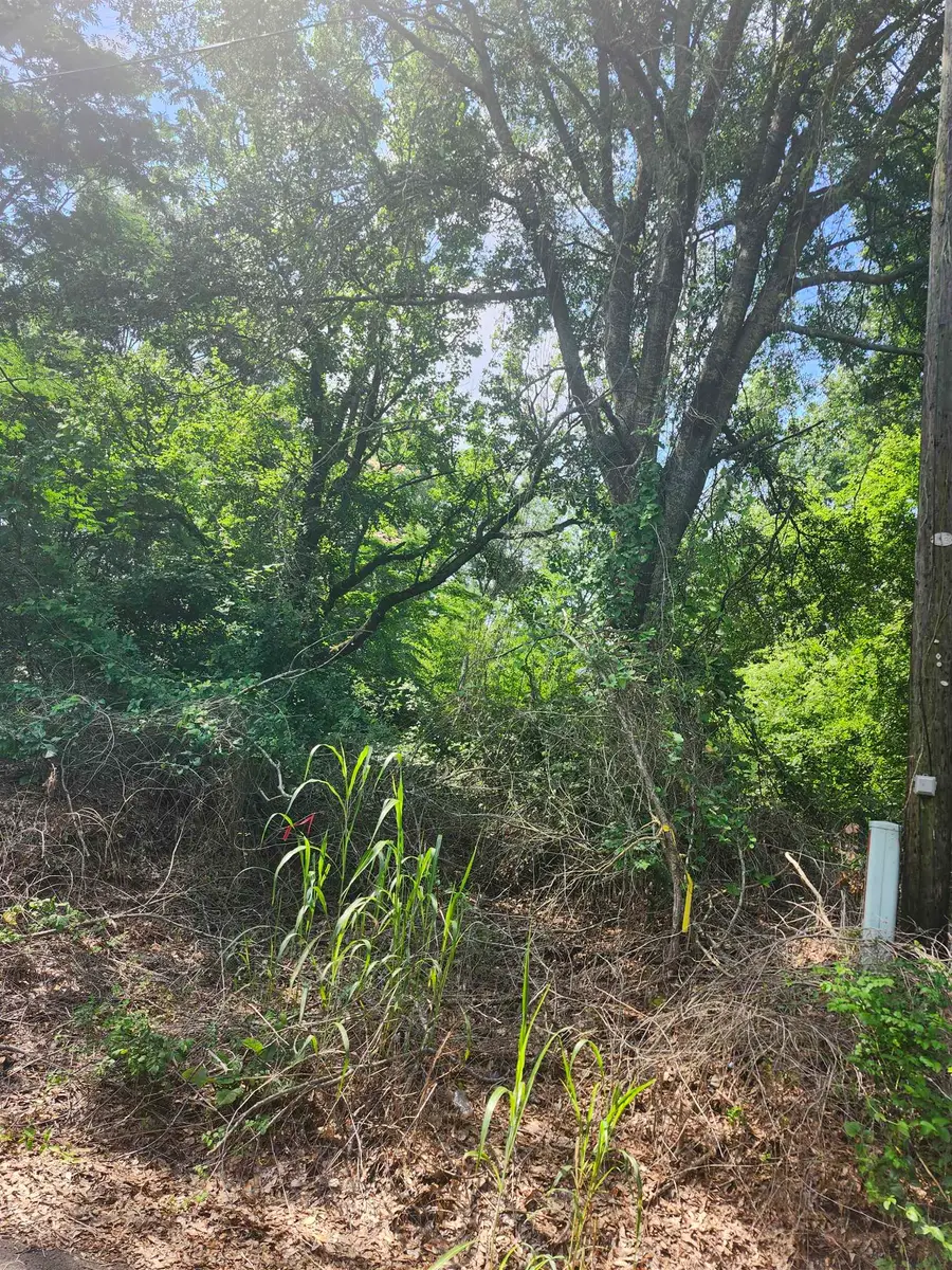 000 Fields St., Marshall, TX 75670 - #2
