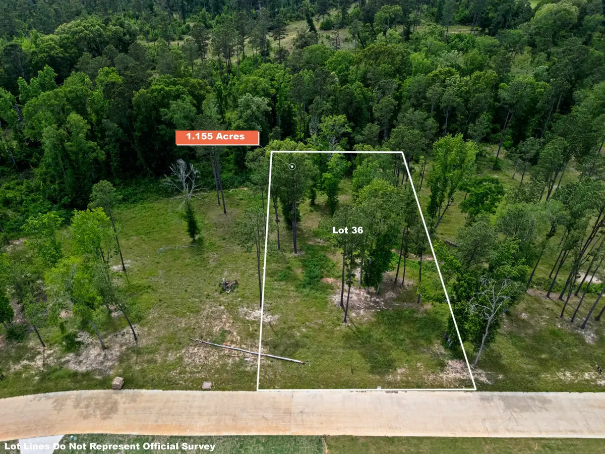 LOT 36 SOUTHERN PINES, Hallsville, TX 75650 - #1