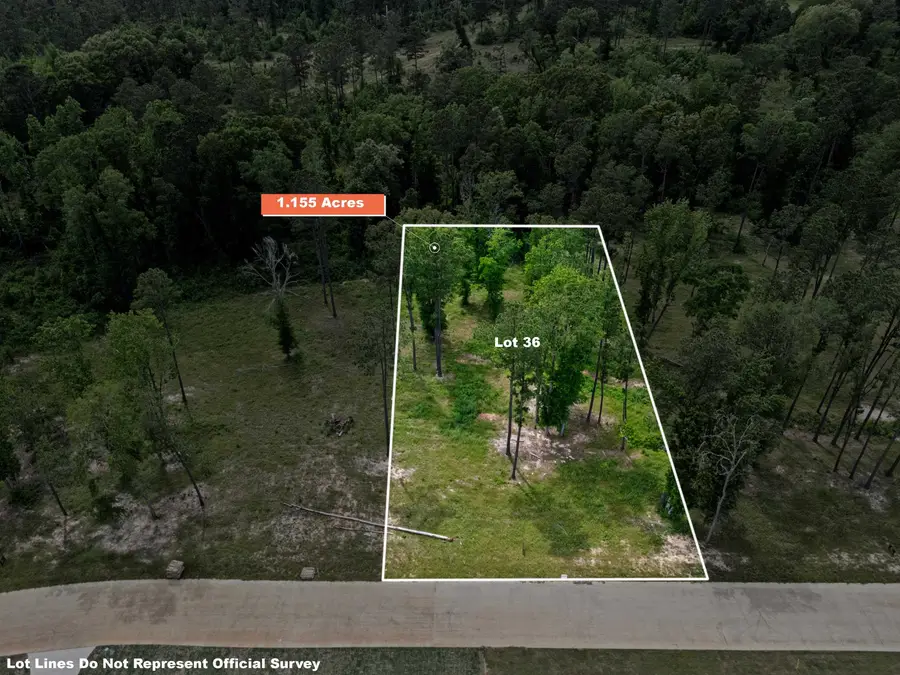 LOT 36 SOUTHERN PINES, Hallsville, TX 75650 - #2