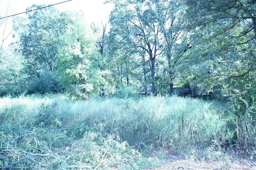 2302 Katherine, Marshall, TX 75670 - #1