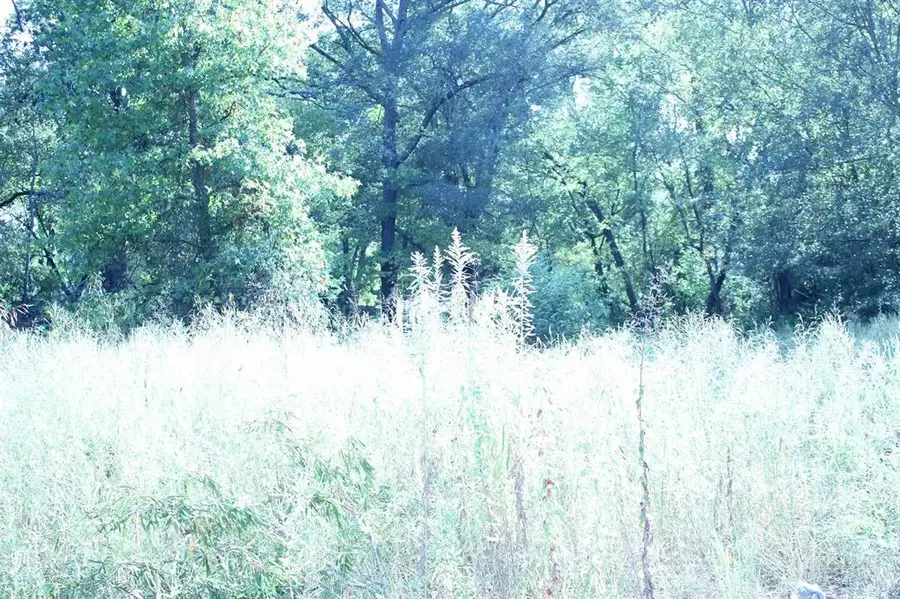 2302 Katherine, Marshall, TX 75670 - #3
