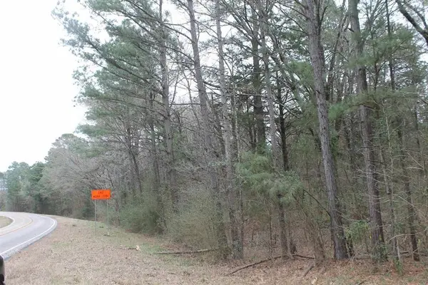 TBD FM 2796 N & S, Gilmer, TX 75644-0000