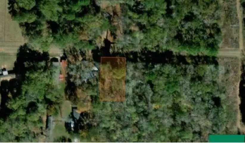 976 Balmorea Drive, Bullard, TX 75757 - #1